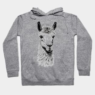 Llama Hoodie